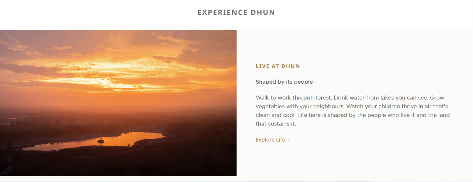 DHUN Life Conscious Living Platform